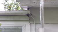 Duffield unfinished exterior work